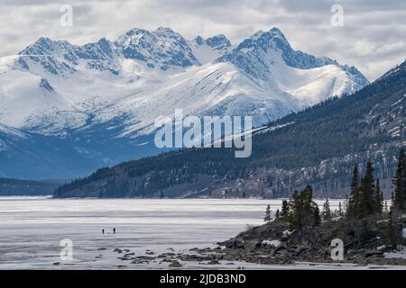 Two people walking with their dog on the frozen Bennett Lake during Yukon's spring; Carcross, Yukon, Canada Stock Photo