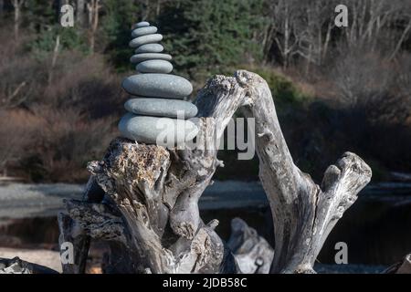 Driftwood Stacked On A Sunny Beach Stock Photo - Alamy