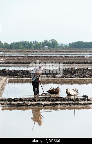 Rice farming in a farming community in Southern Cambodia; Kampot, Cambodia Stock Photo