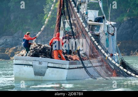 A salmon purse seiner and crew work the waters of Kachemak Bay for returning fish during the summer season in 2019. Stock Photo