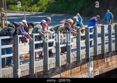 Fishermen line up to fish for returning salmon on the bridge crossing the Seldovia Slough; Seldovia, Alaska, United States of America Stock Photo
