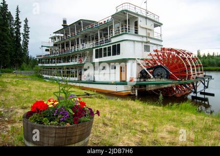 Paddleboat along the shoreline for the River Boat Discovery tour along the Chena River; Fairbanks, Alaska, United States of America Stock Photo