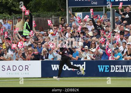 Essex fans celebrate a six during Essex Eagles vs Somerset, Vitality