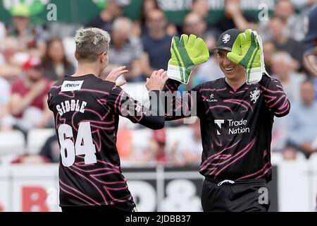 Peter Siddle of Somerset celebrates taking the wicket of Adam Rossington during Essex Eagles vs Somerset, Vitality Blast T20 Cricket at The Cloud Coun Stock Photo