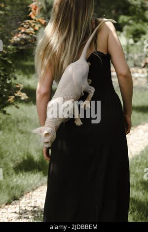 Pretty woman at her 30s in the garden kissing sphinx cat. Beautiful dreamlike female walking outdoors with pet on sunny day. Lifestyle portrait person Stock Photo
