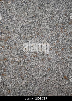 Grey granite stone background with orange lichen. Stock Photo