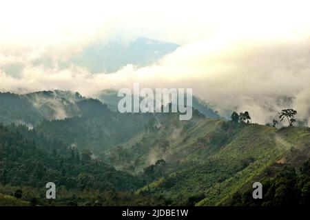 Mountain ridges covered with forest and bushes at the foot of Mount Pangrango, seen from Benda village in Cicurug, Sukabumi, West Java, Indonesia. Stock Photo