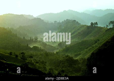 Mountain ridges covered with forest and bushes at the foot of Mount Pangrango, seen from Benda village in Cicurug, Sukabumi, West Java, Indonesia. Stock Photo