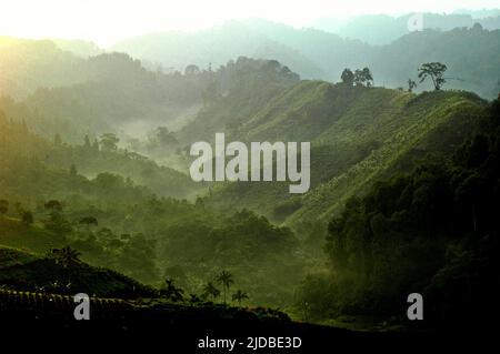 Mountain ridges covered with forest and bushes at the foot of Mount Pangrango, seen from Benda village in Cicurug, Sukabumi, West Java, Indonesia. Stock Photo