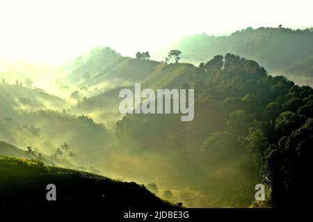 Mountain ridges covered with forest and bushes at the foot of Mount Pangrango, seen from Benda village in Cicurug, Sukabumi, West Java, Indonesia. Stock Photo