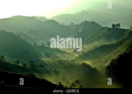 Mountain ridges covered with forest and bushes at the foot of Mount Pangrango, seen from Benda village in Cicurug, Sukabumi, West Java, Indonesia. Stock Photo