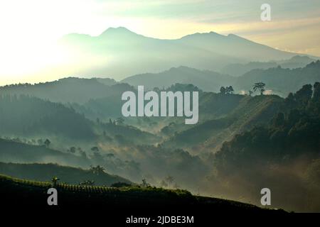 Mountain ridges covered with forest and bushes in a background of Mount Pangrango (left) and Mount Gede, which are the core zone of Mount Gede Pangrango National Park, photographed from Benda village in Cicurug, Sukabumi, West Java, Indonesia. Stock Photo