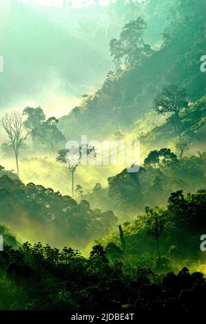 Mountain ridges covered with forest and bushes at the foot of Mount Pangrango, seen from Benda village in Cicurug, Sukabumi, West Java, Indonesia. Stock Photo