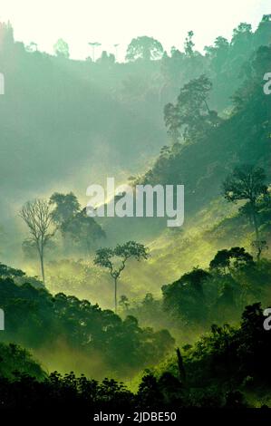 Mountain ridges covered with forest and bushes at the foot of Mount Pangrango, seen from Benda village in Cicurug, Sukabumi, West Java, Indonesia. Stock Photo