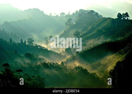 Mountain ridges covered with forest and bushes at the foot of Mount Pangrango, seen from Benda village in Cicurug, Sukabumi, West Java, Indonesia. Stock Photo