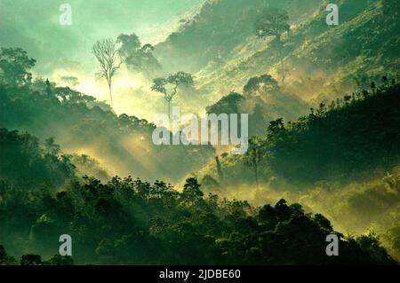 Mountain ridges covered with forest and bushes at the foot of Mount Pangrango, seen from Benda village in Cicurug, Sukabumi, West Java, Indonesia. Stock Photo