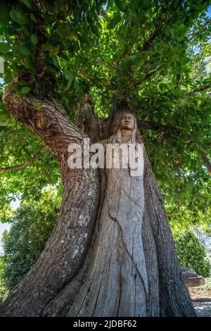 Mother and child native american statue carved into the wood of a chestnut tree in Ragle ranch regional park in Sebastopol, California. Stock Photo