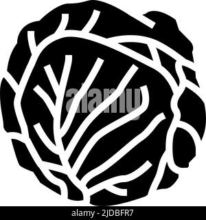 green cabbage glyph icon vector illustration Stock Vector