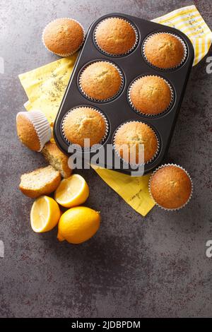 Poppyseed muffins with lemon zest close-up in a metal muffin pan on the table. vertical top view from above Stock Photo