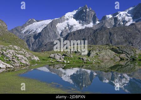 France, Hautes-Alpes La Grave, Massif de la Meije, Lerie lake Stock Photo
