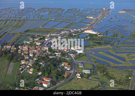France, Charente-Maritime Chaillevette, village and oyster port of Seudre Stock Photo