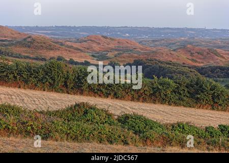 France, Manche, Biville, dune massif, coastline Stock Photo