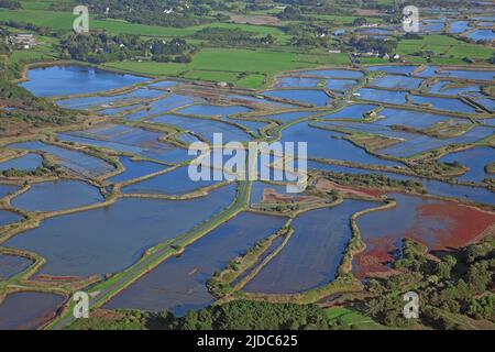 France, Loire-Atlantique Guérande, the salt marshes (aerial view) Stock Photo