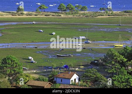 France, Gironde, Cap Ferret, the coastal cordon, view from the lighthouse Stock Photo