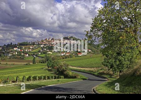 France, Cher, Sancerre, view of the village from the vineyard AOC Stock Photo