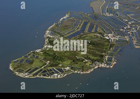 France, Charente-Maritime, Bourcefranc-le-Chapus the forefront of Thistles (aerial view) Stock Photo