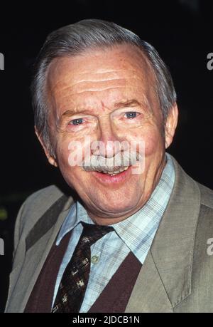 Hans Jürgen Diedrich, deutscher Kabarettist und Schauspieler, Deutschland um 1993. Stock Photo