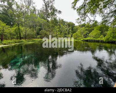 The spring in Ichetucknee State Park in Florida on a sunny day. Stock Photo