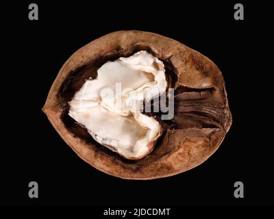 Half split walnut isolated on black background Stock Photo