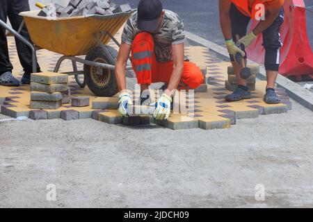 The working team of builders paves the sidewalk and lays colored paving slabs. Copy space. Stock Photo