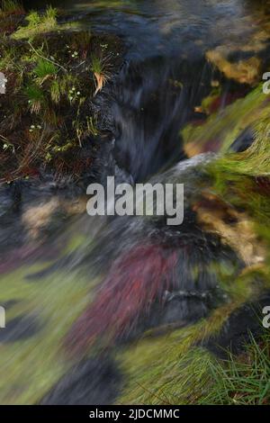 The De Lank River Bodmin Moor Cornwall Stock Photo