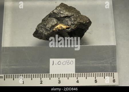 Gold. minerals. North America; Canada; Nova Scotia; Montagne District Stock Photo