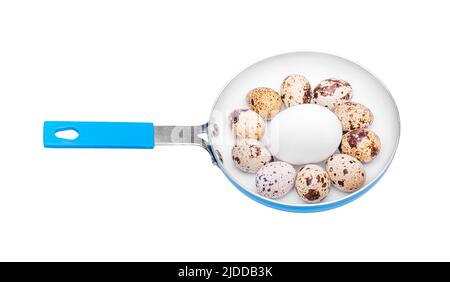 Chicken and quail eggs with shells in a frying pan. Stock Photo