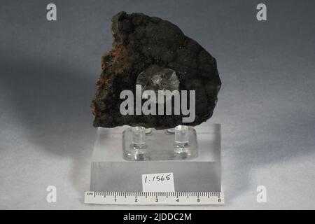 Millerite. minerals. North America; USA; Pennsylvania; Lancaster County; Bart; Gap Mine Stock Photo
