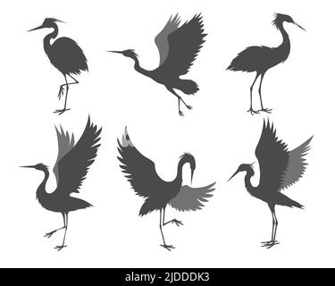 Heron poses silhouettes Stock Vector