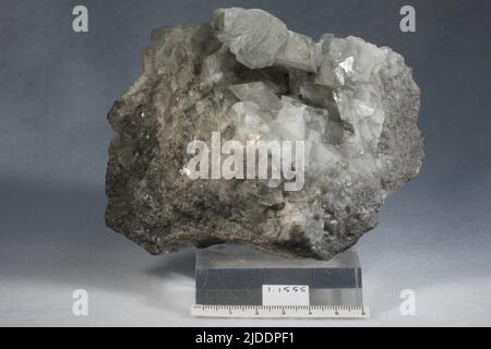 Millerite. minerals. North America; USA; Iowa; Lee County; Keokuk Stock Photo