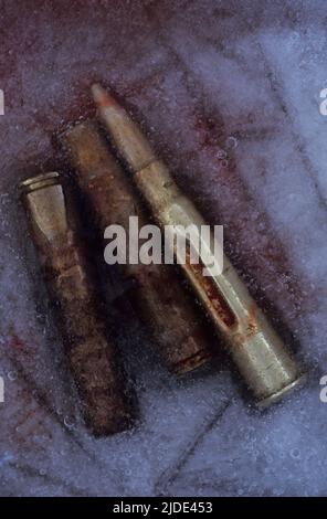 Unused explosive shell lying with two empty shell cases in ice stained with blood Stock Photo
