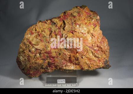 Orpiment. minerals. North America; USA; Nevada; Humboldt County; Golconda; Getchell Mine Stock Photo