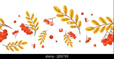 Seamless pattern of rowan with berries. Image of seasonal autumn plant. Stock Vector