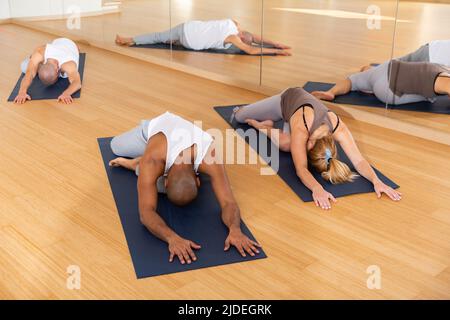 Woman and men stretching during group yoga training Stock Photo