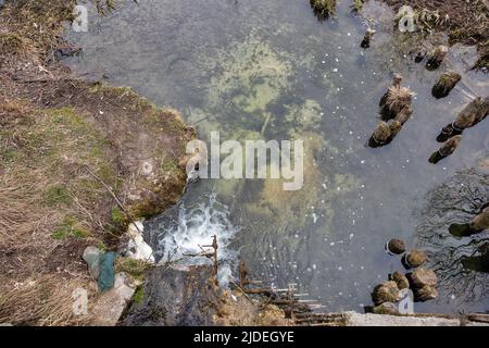 View over Ikva river estuary in Western Ukraine. Stock Photo