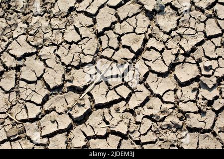 Close up of the mosaic-like pattern created in wet soil or earth when it dries, cracks and splits in the heat of the sun. Stock Photo