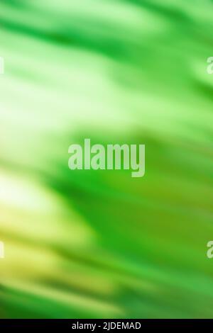 Chlorine greenery  blurred background. Pistachio color blur bokeh. Stock Photo