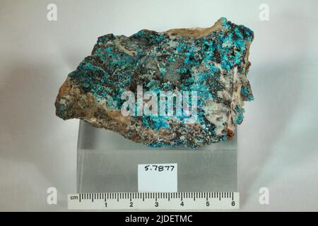 Serpierite. minerals. Europe; Greece; Laurium Stock Photo