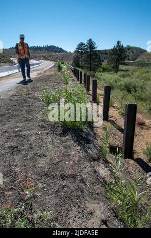 Sherwin Grade This road project on Sherwin Grade in Mono County, CA, USA will widen ...