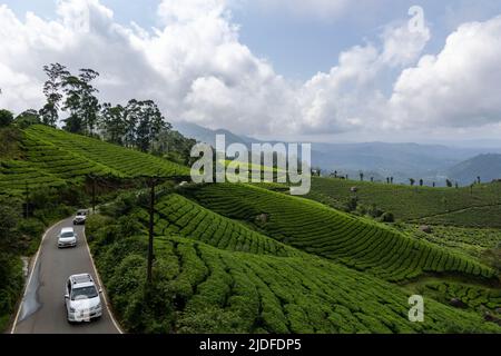 Cars climbing the winding road as seen from Munnar Bypass Tea Garden Viewpoint, Munnar, Kerala, India Stock Photo